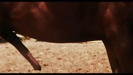 Le salon il viole sa mere porno est rempli d'une sensualité incroyable